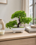 Mini Bonsai Potted Plant