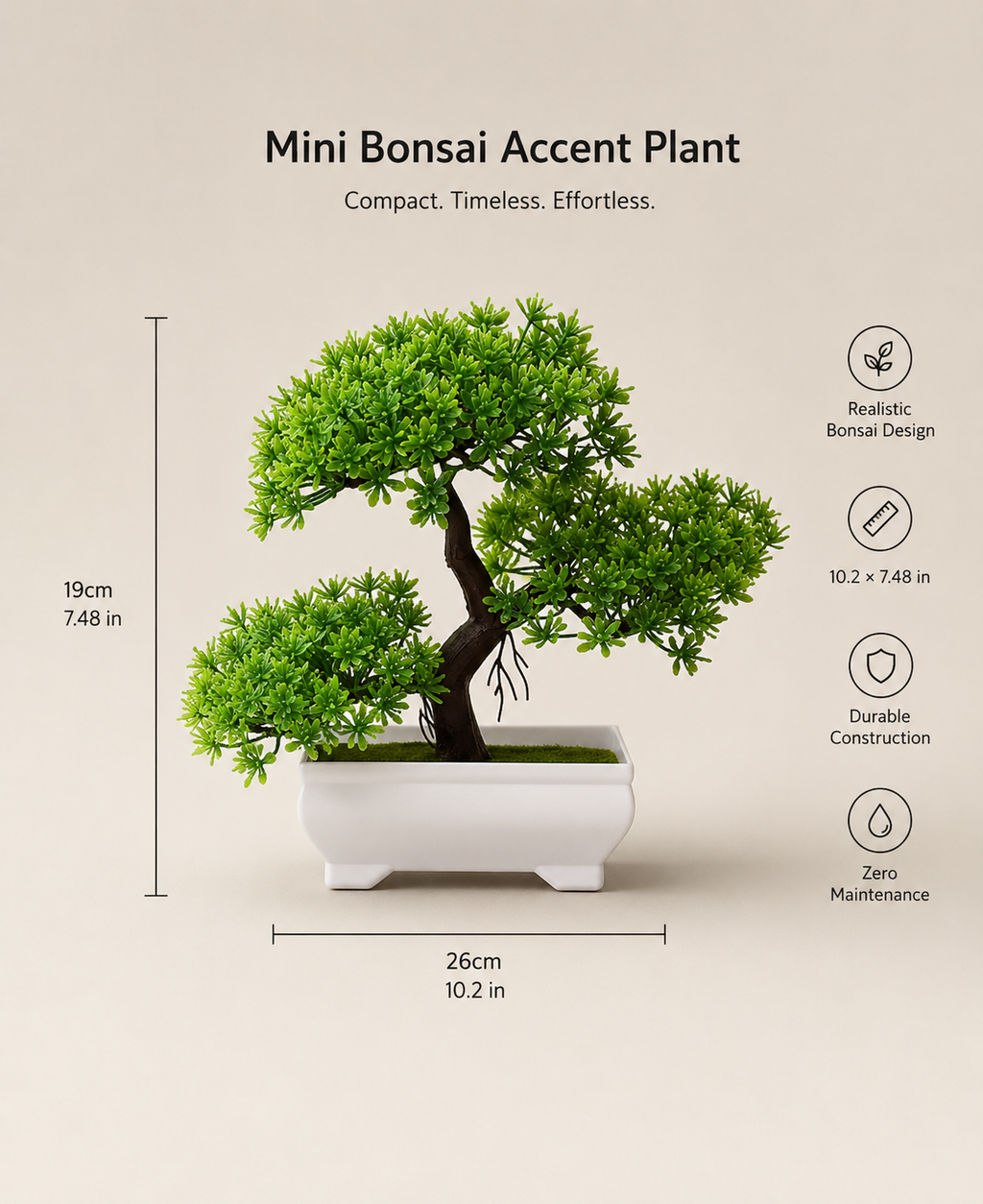 Mini Bonsai Potted Plant